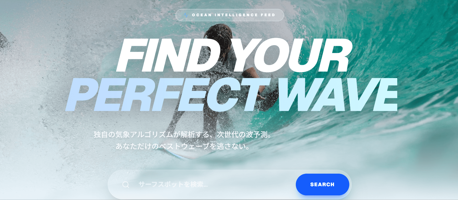 Web / アプリ開発